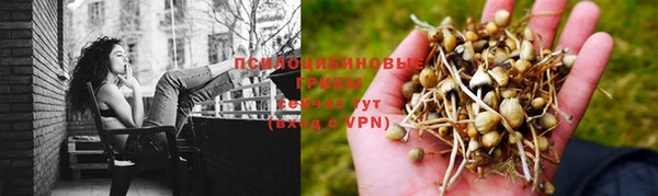 меф Сясьстрой