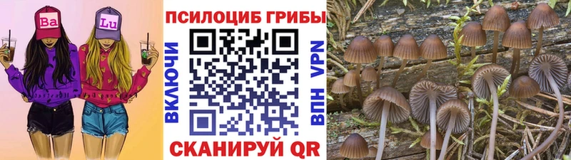 Псилоцибиновые грибы мухоморы  MEGA маркетплейс  это какой сайт  Снежинск 