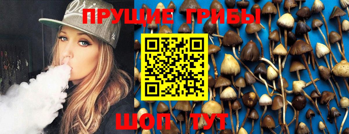 Снежинск  Галлюциногенные грибы прущие грибы  Вход с VPN 