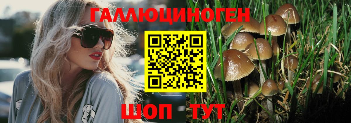 Галлюциногенные грибы Psilocybe Снежинск